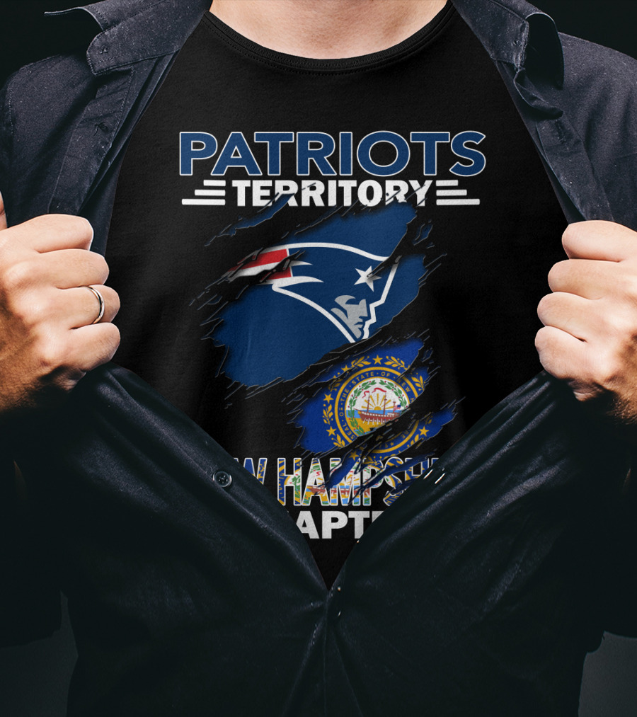 Patriots Territory New Hampshire Chapter Logo With New England Flag And State Seal T-Shirt