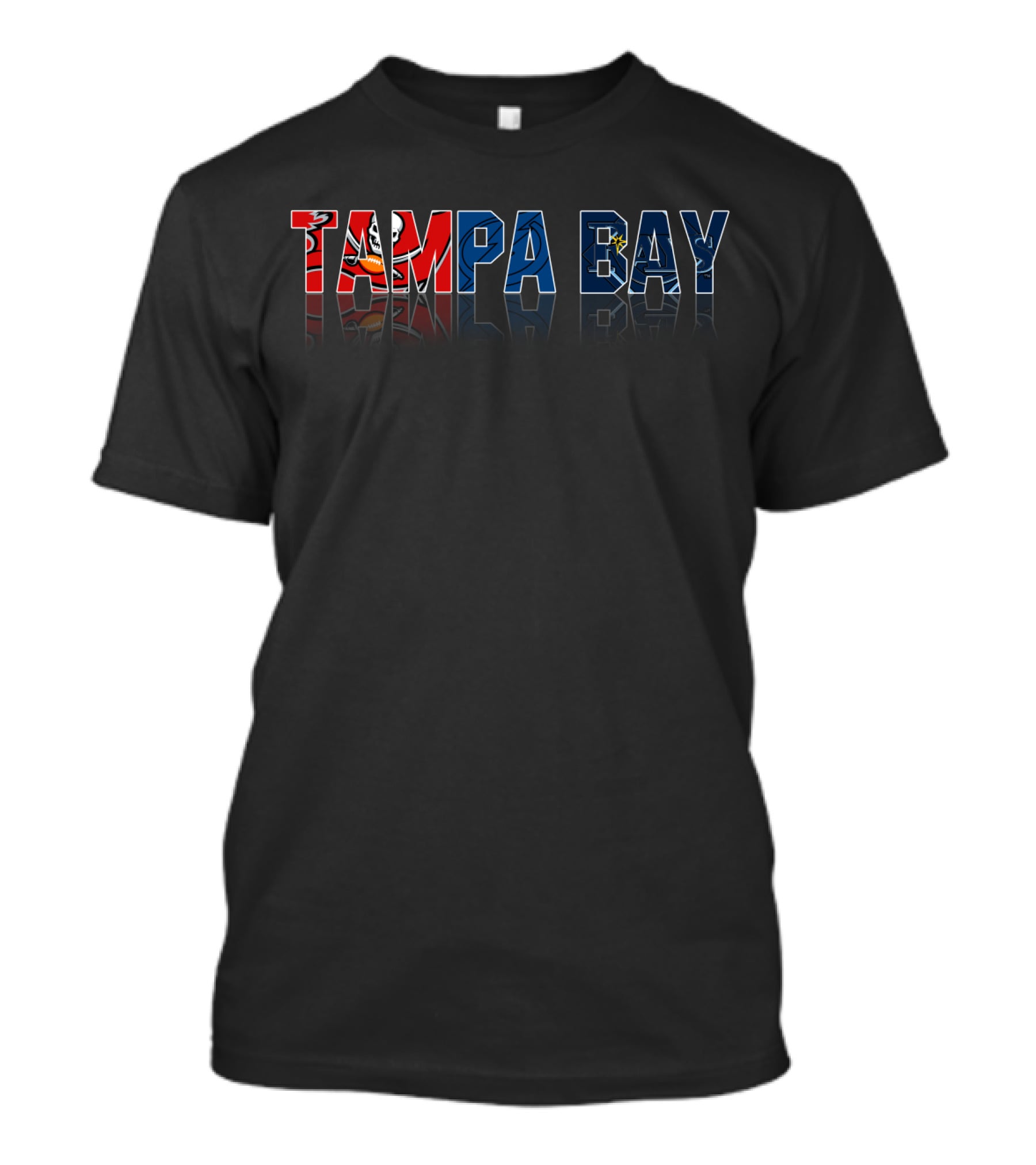 Tampa Bay Sports Teams Reflection T-Shirt