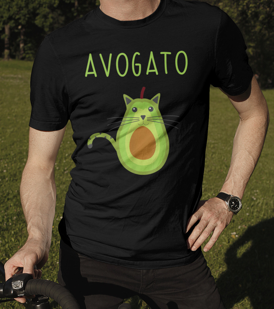 Cinco De Mayo Cinco De Meow Avogato Cat Avocado Kitty T-Shirt