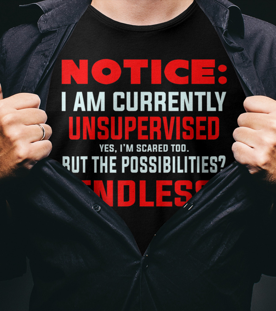 NOTICE I Am Currently Unsupervised Yes I'm Scared Too But The Possibilities Endless T-Shirt