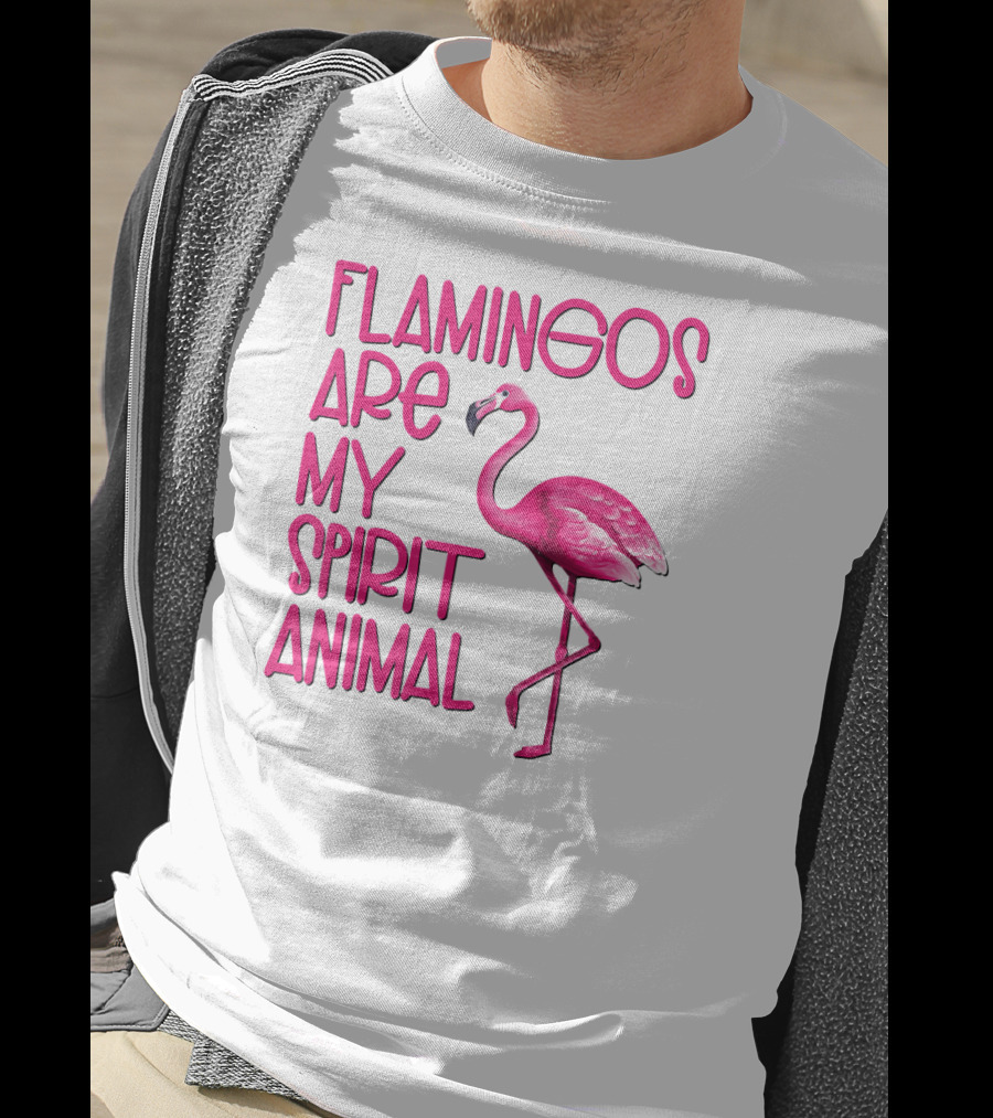 Flamingos Are My Spirit Animal Flamingo Image T-Shirt