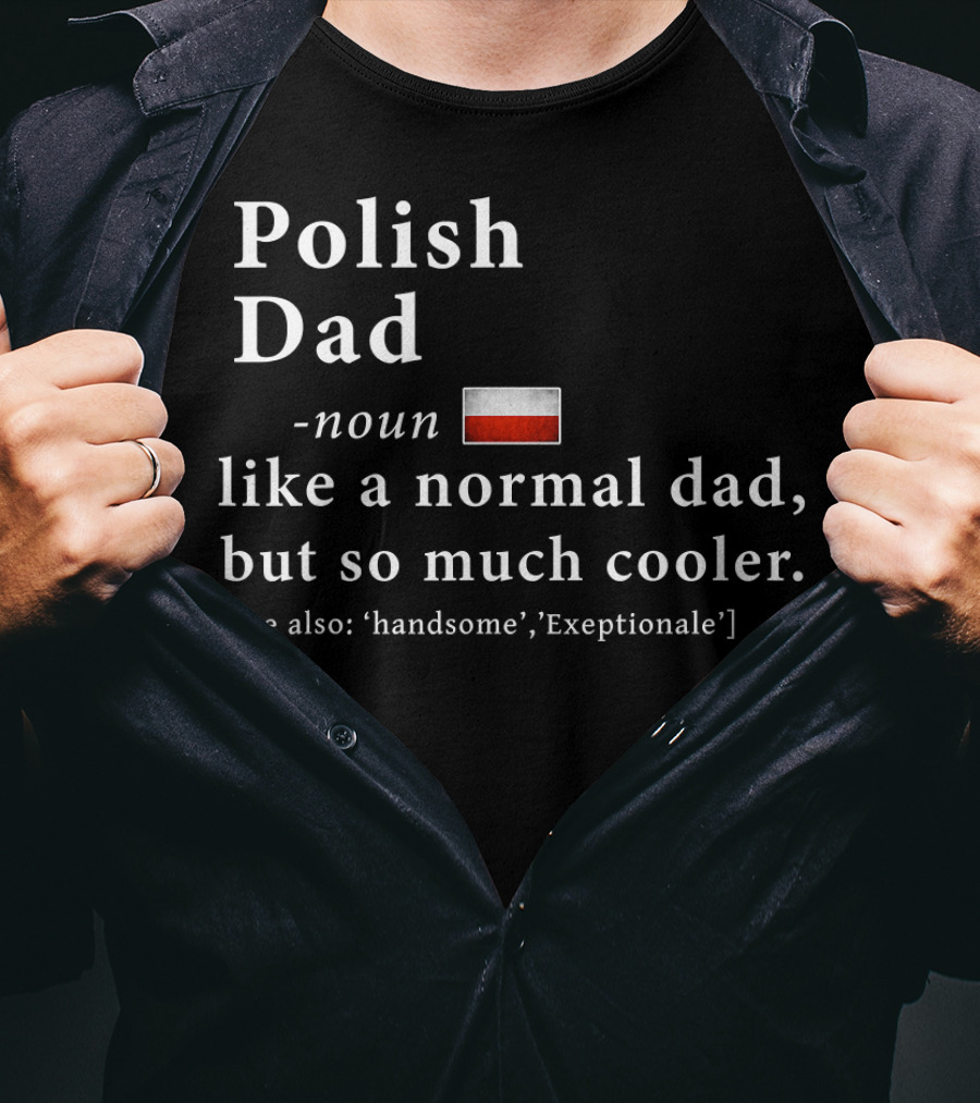 Polish Dad Noun Like A Normal Dad But So Much Cooler Handsome Exceptionale Polish Flag T-Shirt