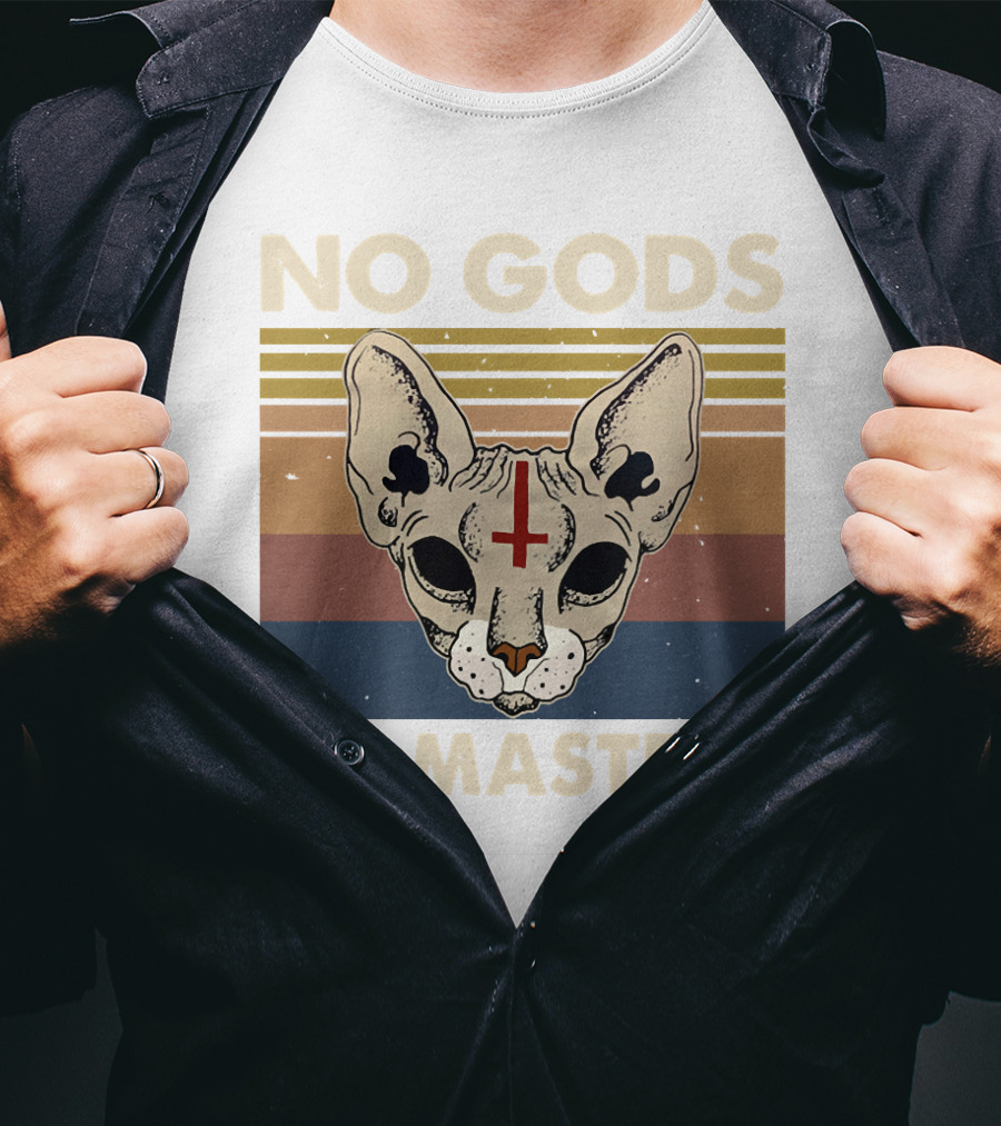 No Gods No Masters Sphynx Cat Retro T-Shirt