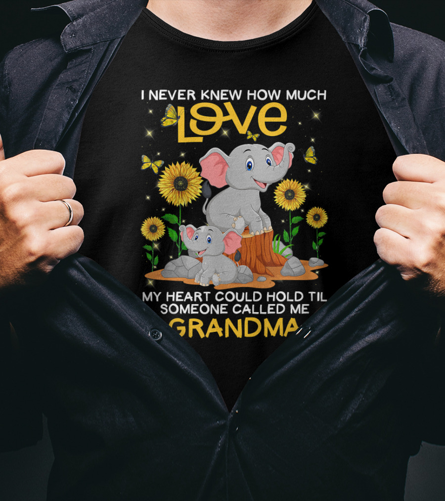 I Never Knew How Much Love My Heart Could Hold Til Someone Called Me Grandma Elephant Sunflowers Butterflies T-Shirt