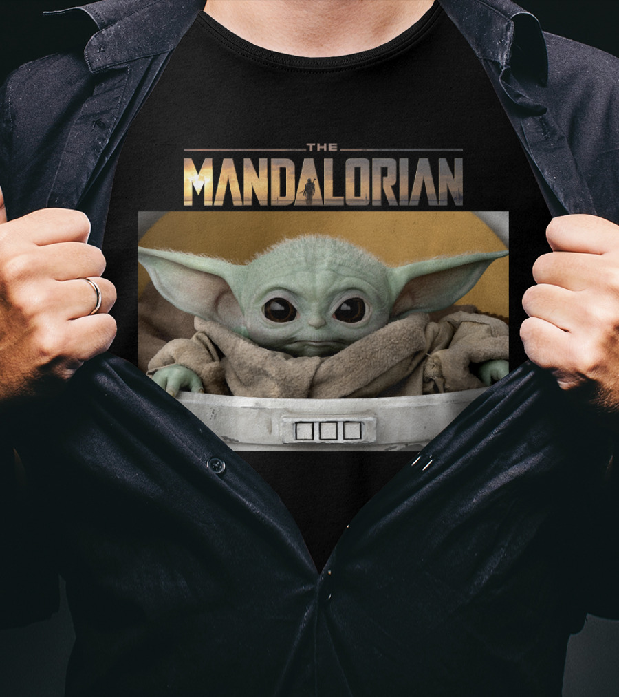The Mandalorian The Child Baby Yoda In Pod T-Shirt