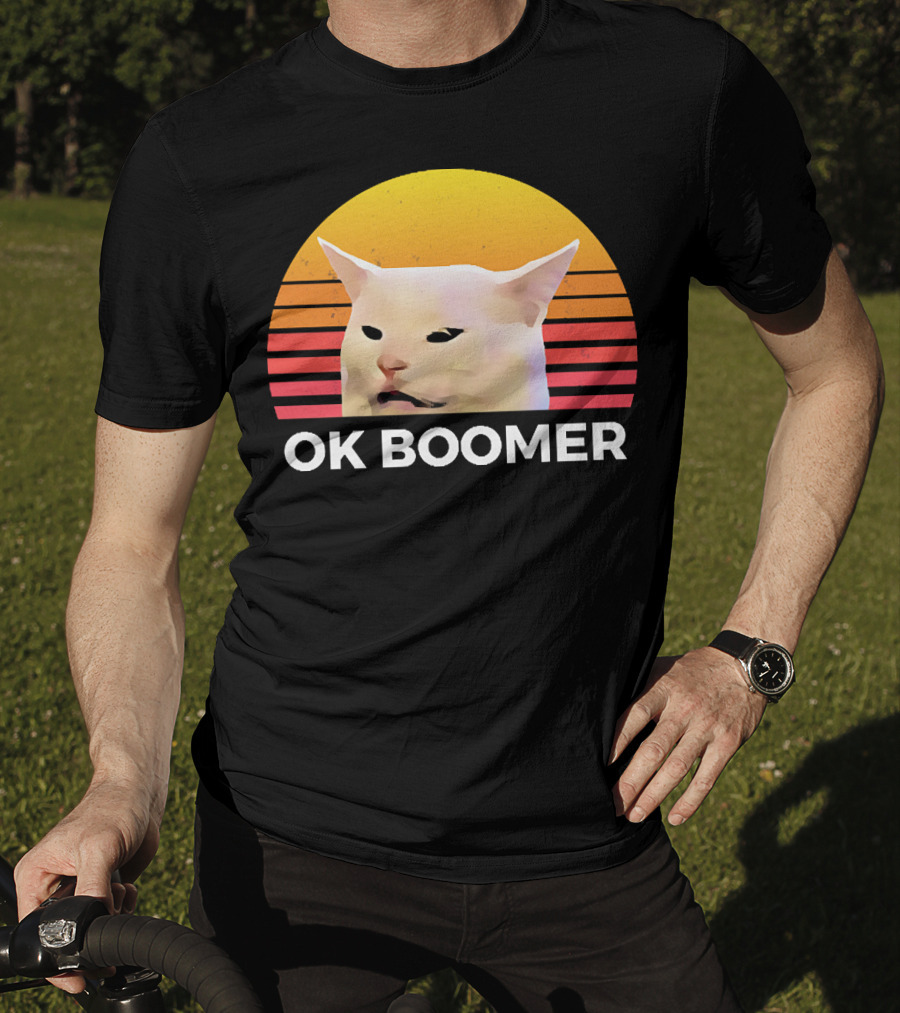 Cat Ok Boomer Retro Sunset T-Shirt