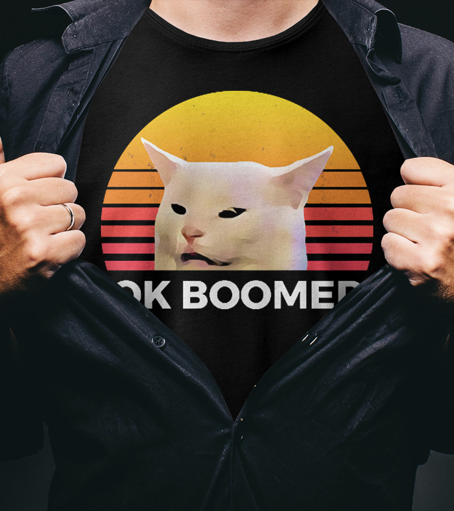 Cat Ok Boomer Retro Sunset T-Shirt