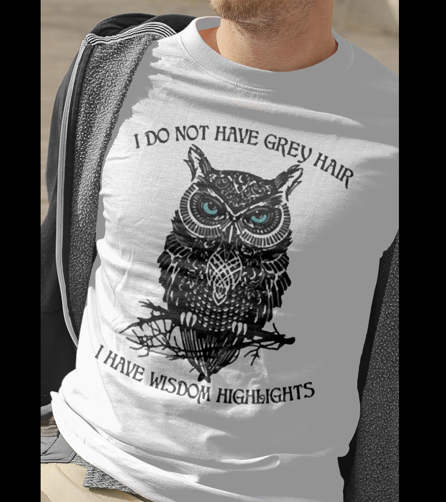 I Do Not Have Grey Hair Owl I Have Wisdom Highlights T-Shirt