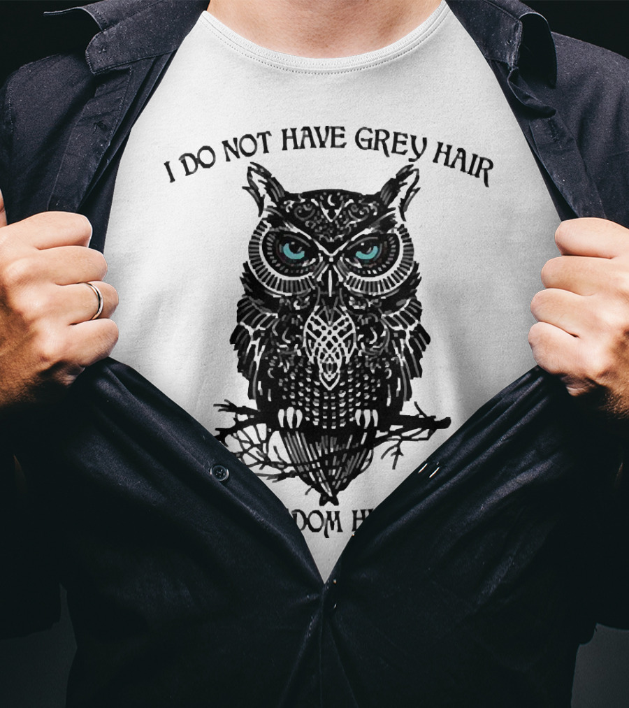 I Do Not Have Grey Hair Owl I Have Wisdom Highlights T-Shirt