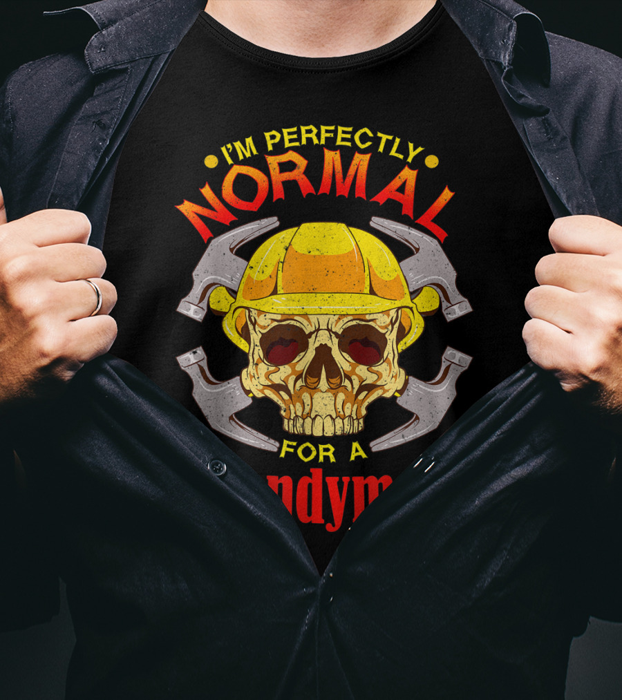 I'm Perfectly Normal For A Handyman T-Shirt