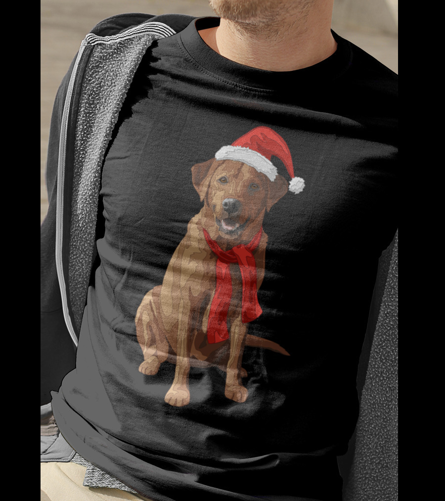 Red Labrador Retriever Dog With Christmas Santa Hat And Scarf T-Shirt