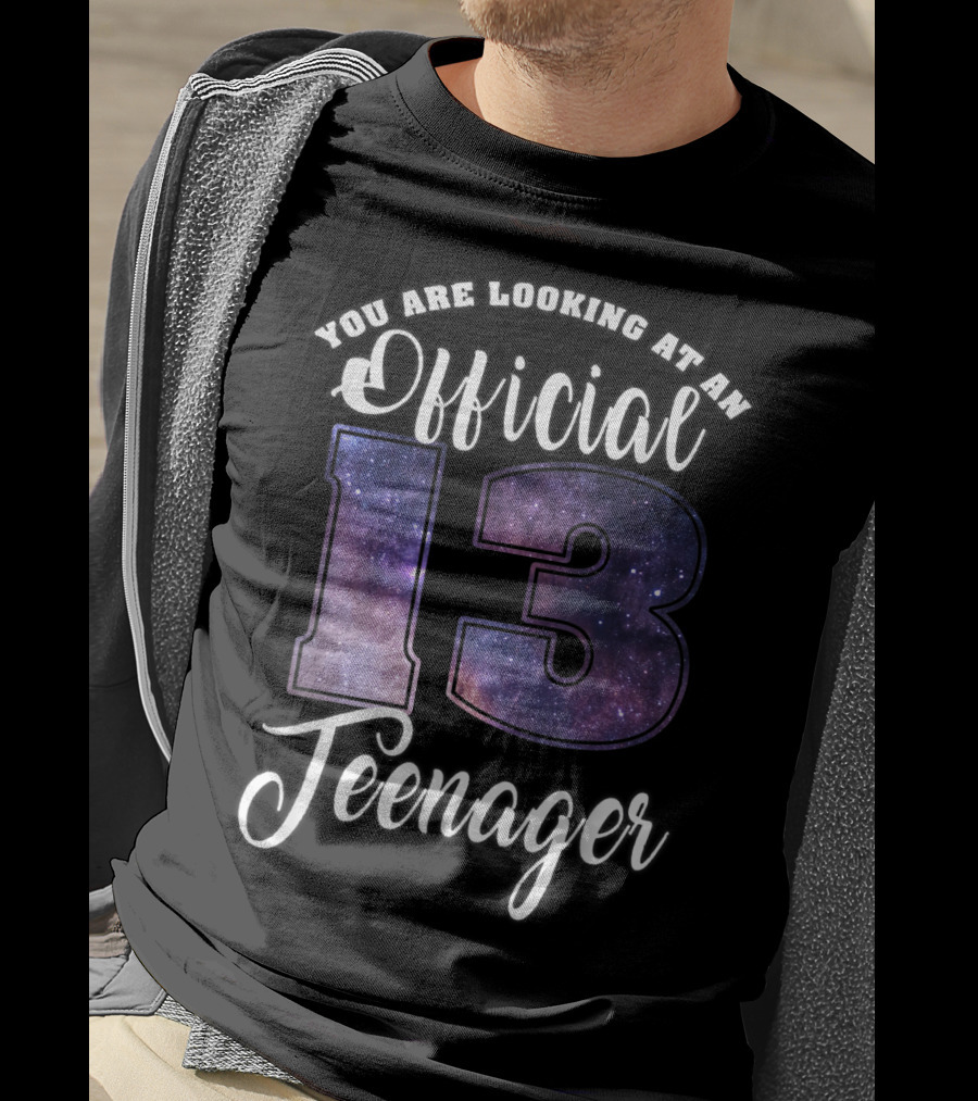 You Are Looking At An Official 13 Teenager T-Shirt