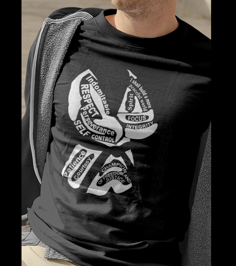 Taekwondo More Than Just Kicking And Punching Respect Perseverance Self-Control Integrity T-Shirt