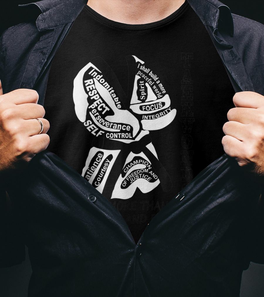 Taekwondo More Than Just Kicking And Punching Respect Perseverance Self-Control Integrity T-Shirt