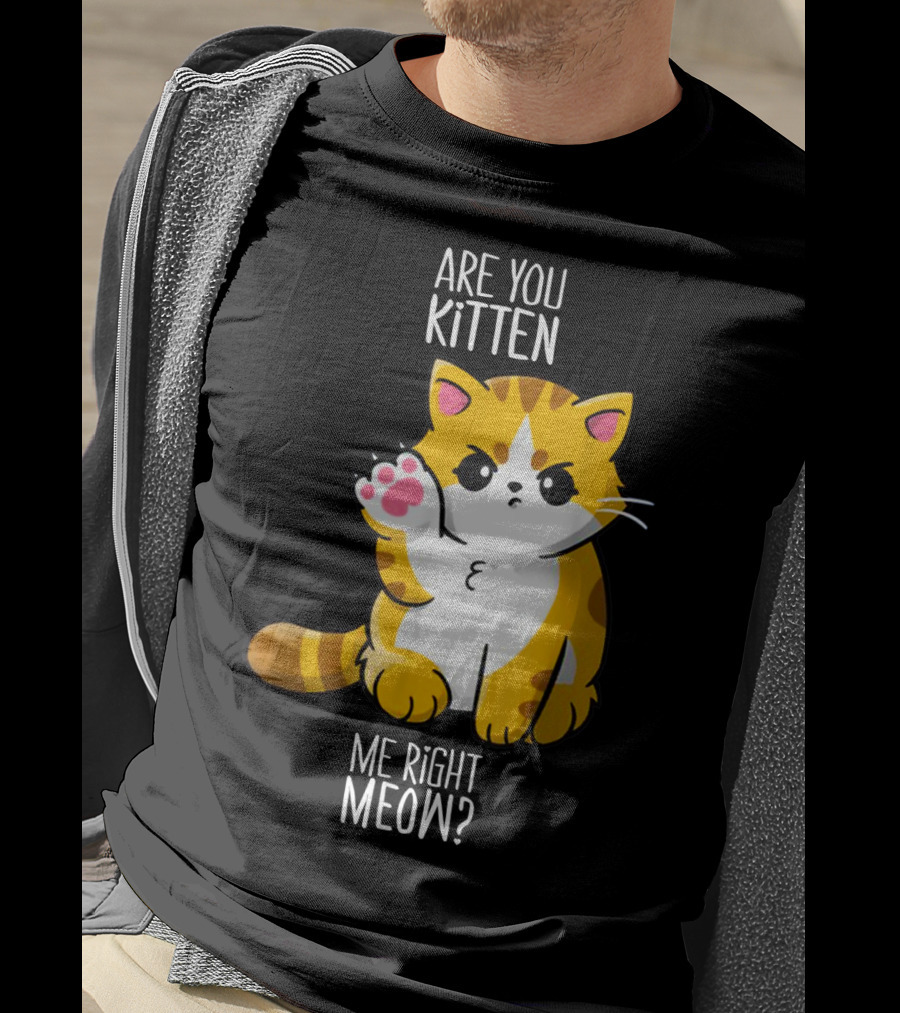 Are You Kitten Me Right Meow Cute Kitty T-Shirt