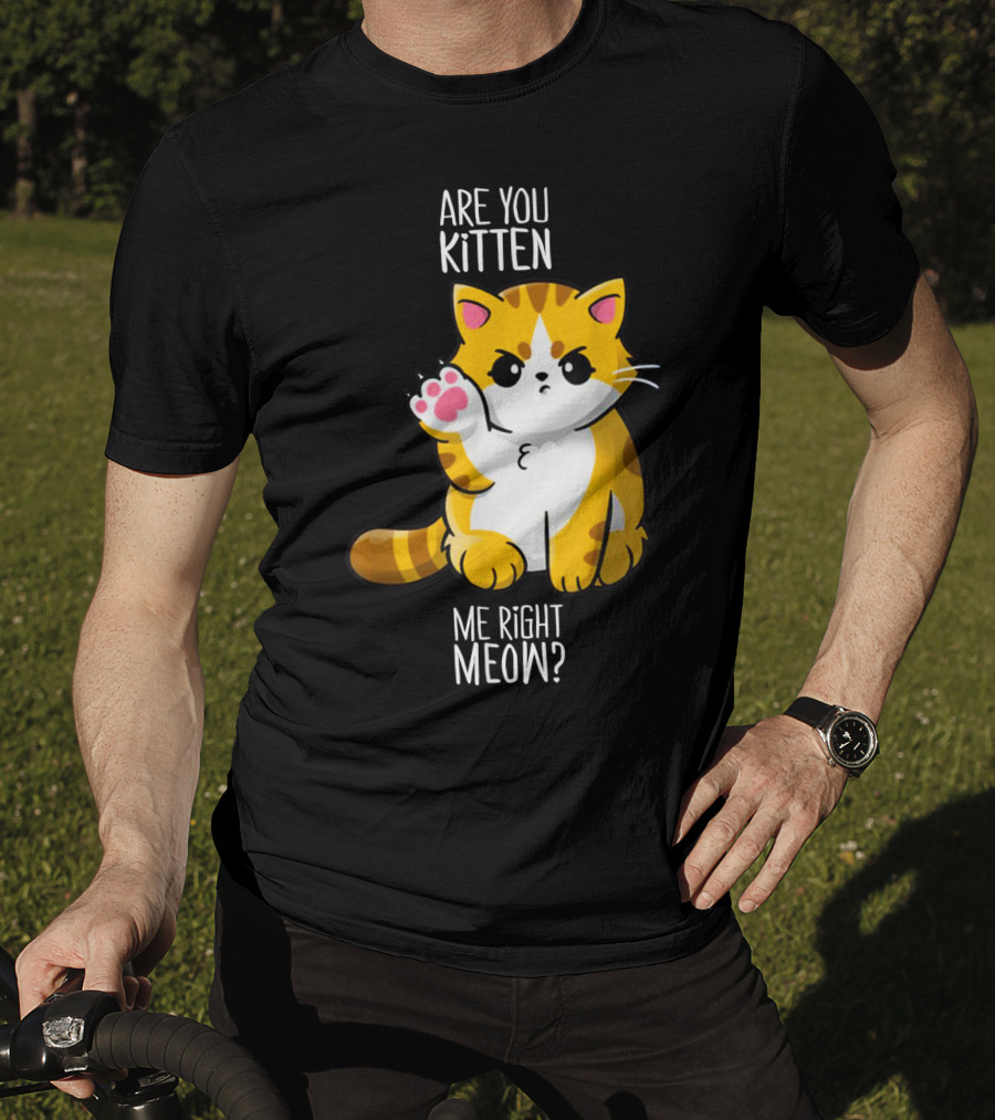 Are You Kitten Me Right Meow Cute Kitty T-Shirt