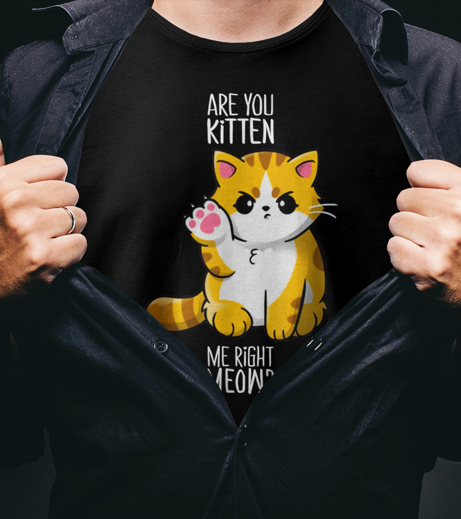 Are You Kitten Me Right Meow Cute Kitty T-Shirt