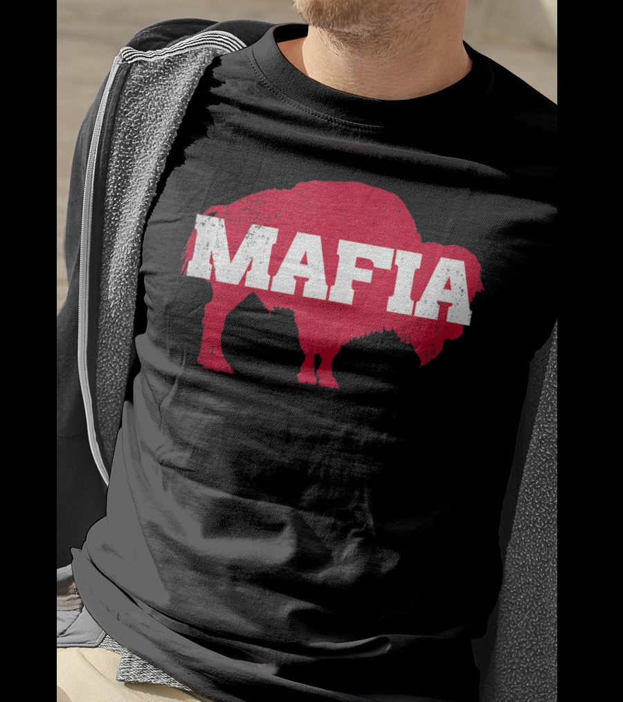Bills Mafia Buffalo New York 716 Bflo Wny T-Shirt