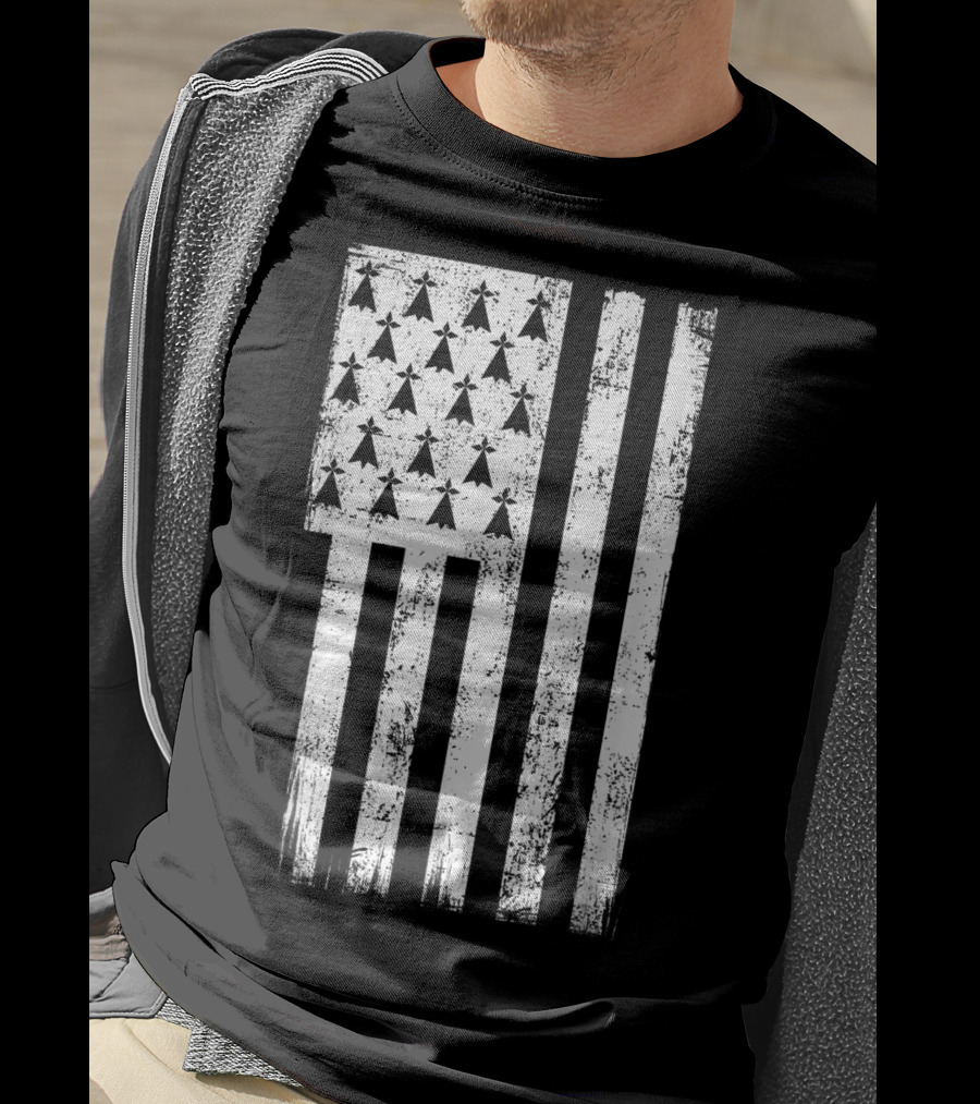 Bretagne Flag Distressed Bretagne Region Of France T-Shirt