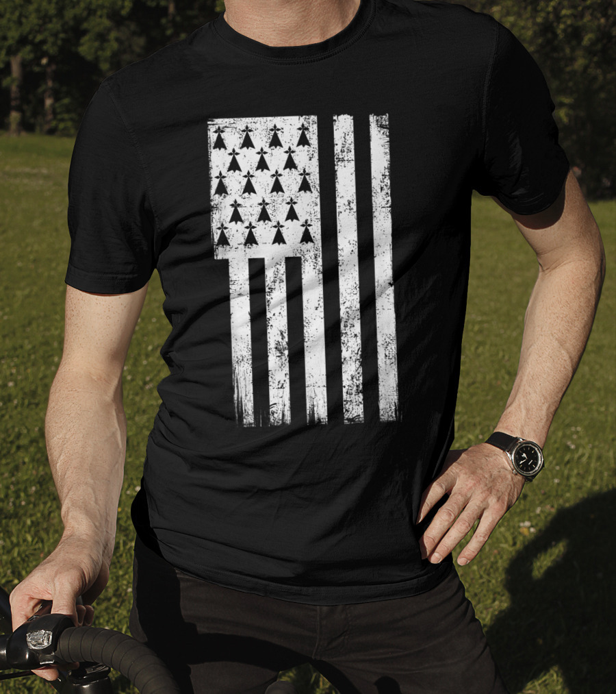 Bretagne Flag Distressed Bretagne Region Of France T-Shirt
