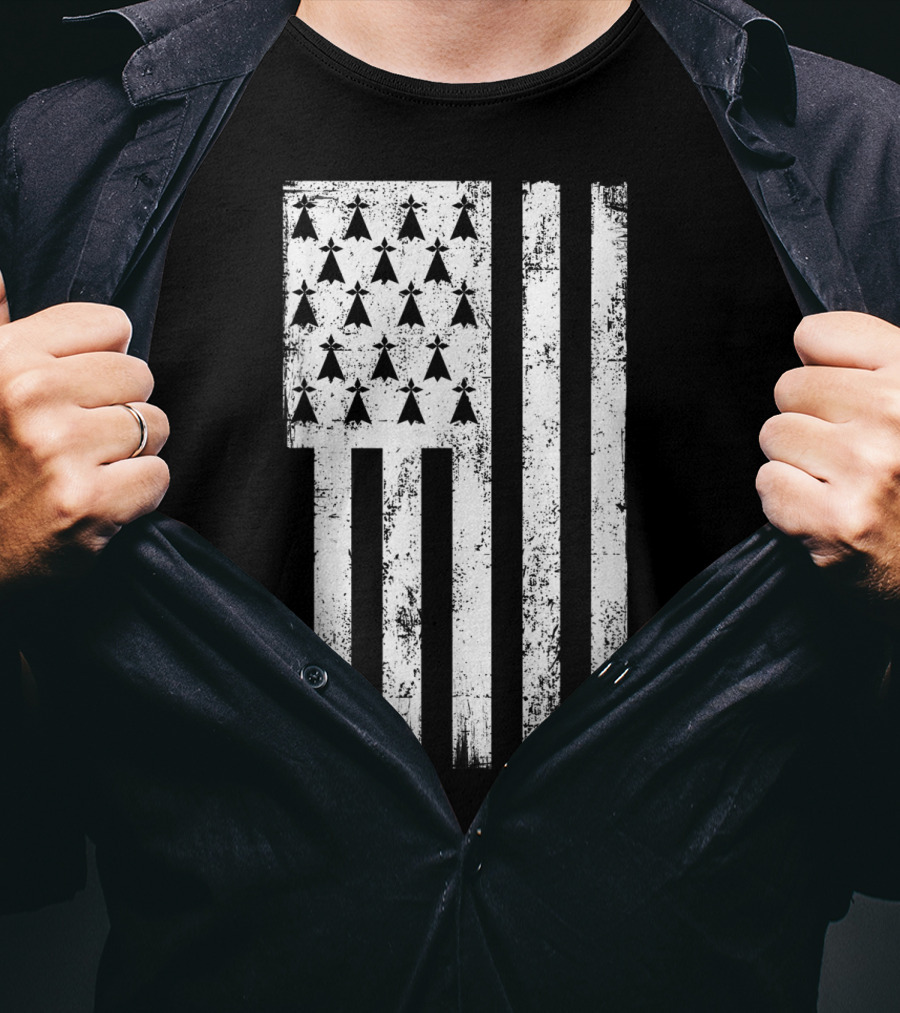 Bretagne Flag Distressed Bretagne Region Of France T-Shirt