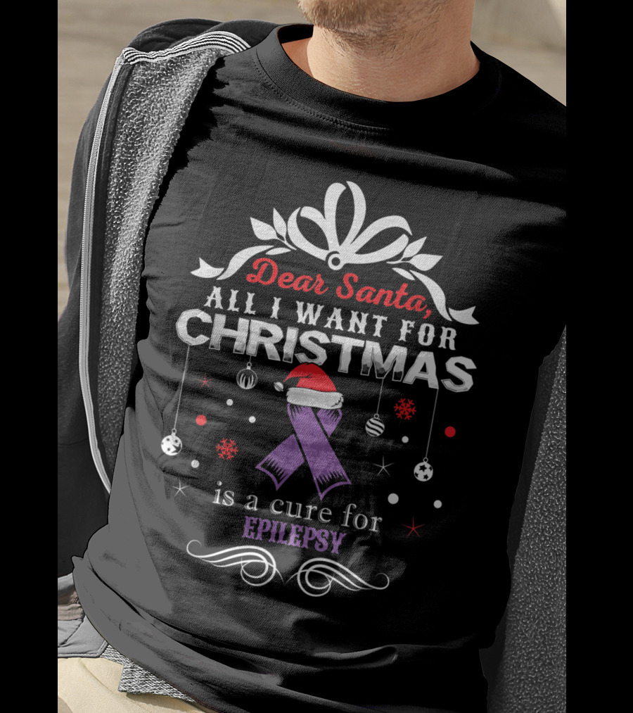 Dear Santa All I Want For Christmas Is A Cure For Epilepsy T-Shirt
