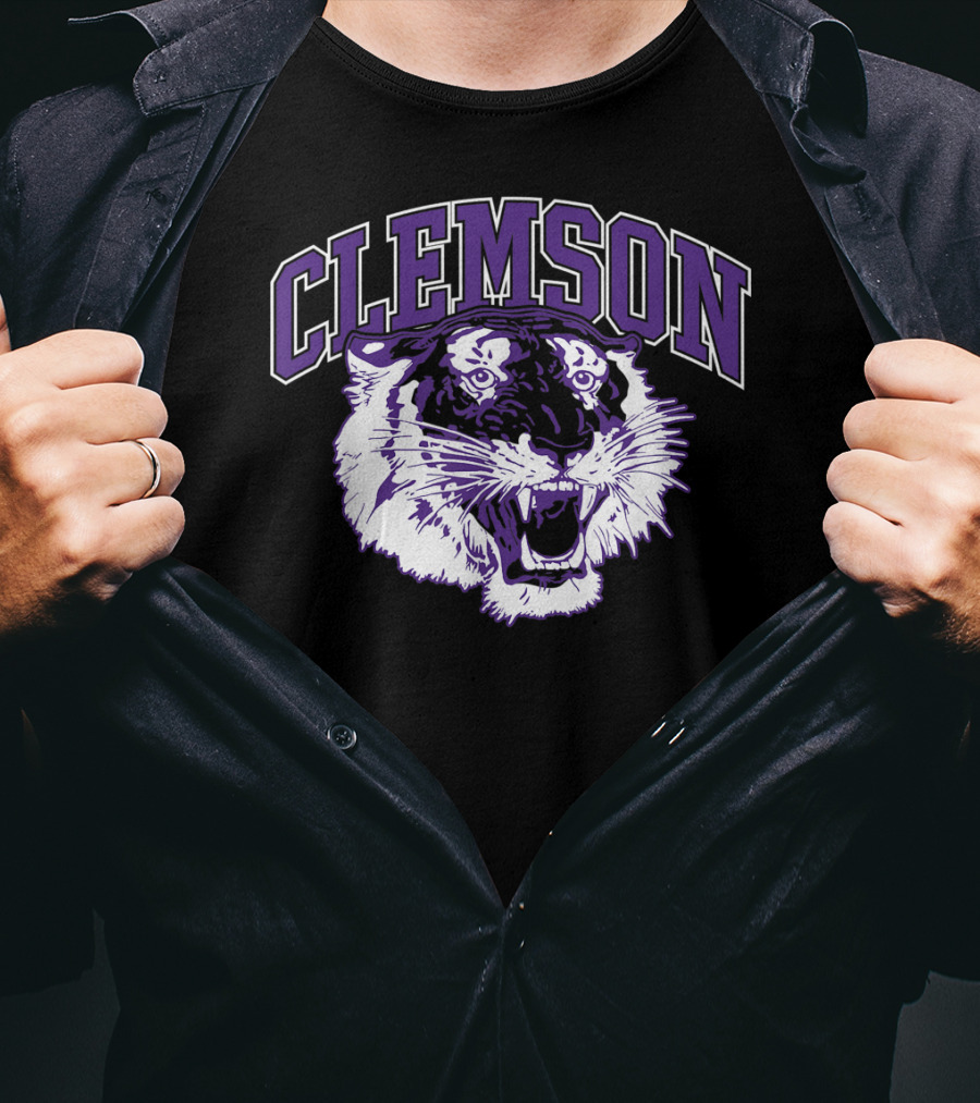Clemson Tiger Vintage South Carolina Sports T-Shirt