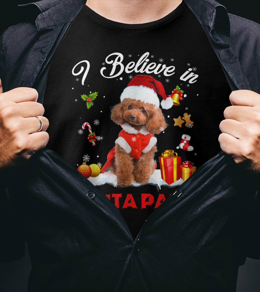 I Believe In Santa Paws Christmas Decor With Poodle Dog T-Shirt