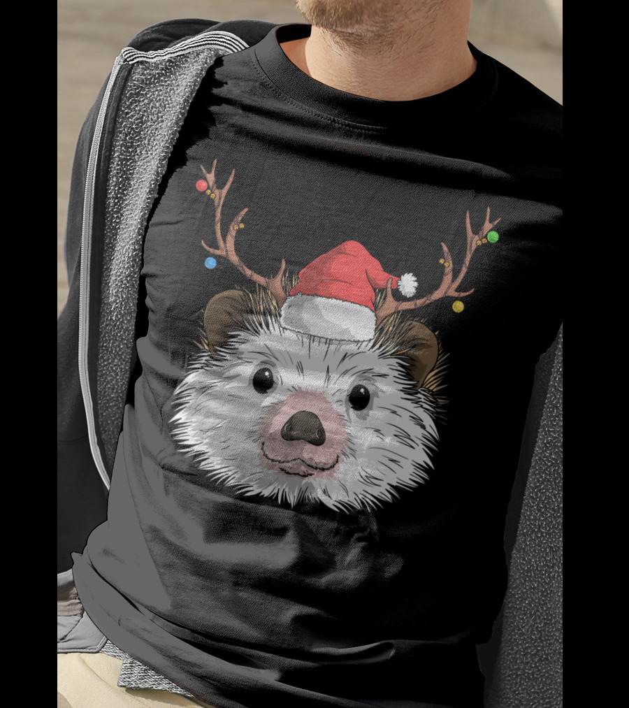 Hedgehog Santa Claus Hat Antlers Christmas Holiday T-Shirt