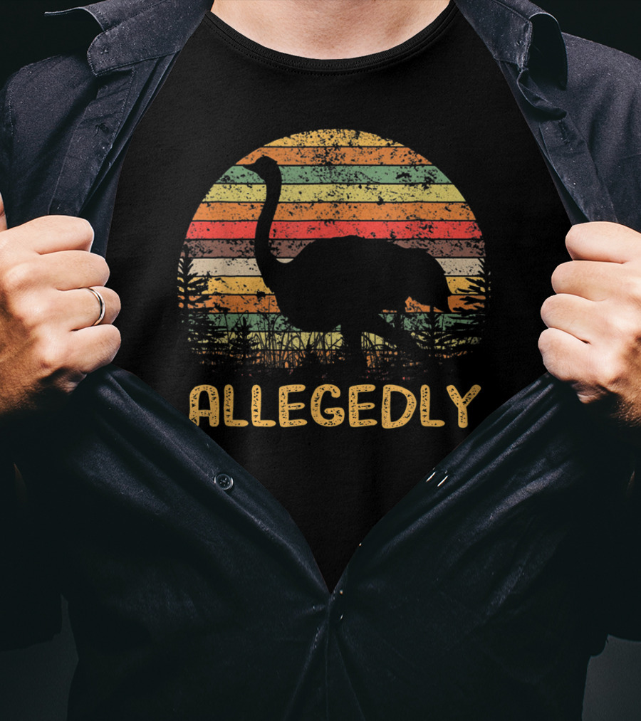 Allegedly Ostrich Vintage Sunset T-Shirt