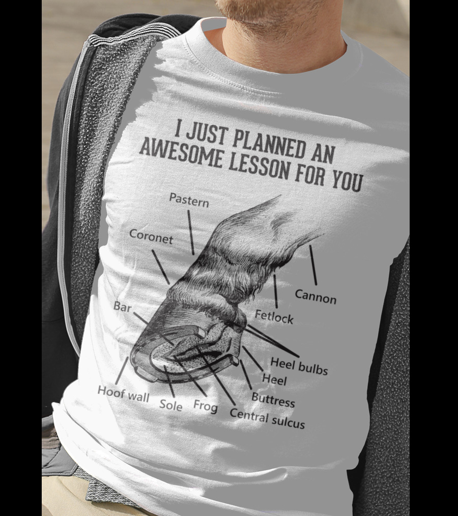 I Just Planned An Awesome Lesson For You Hoof Anatomy Funny Equestrians T-Shirt