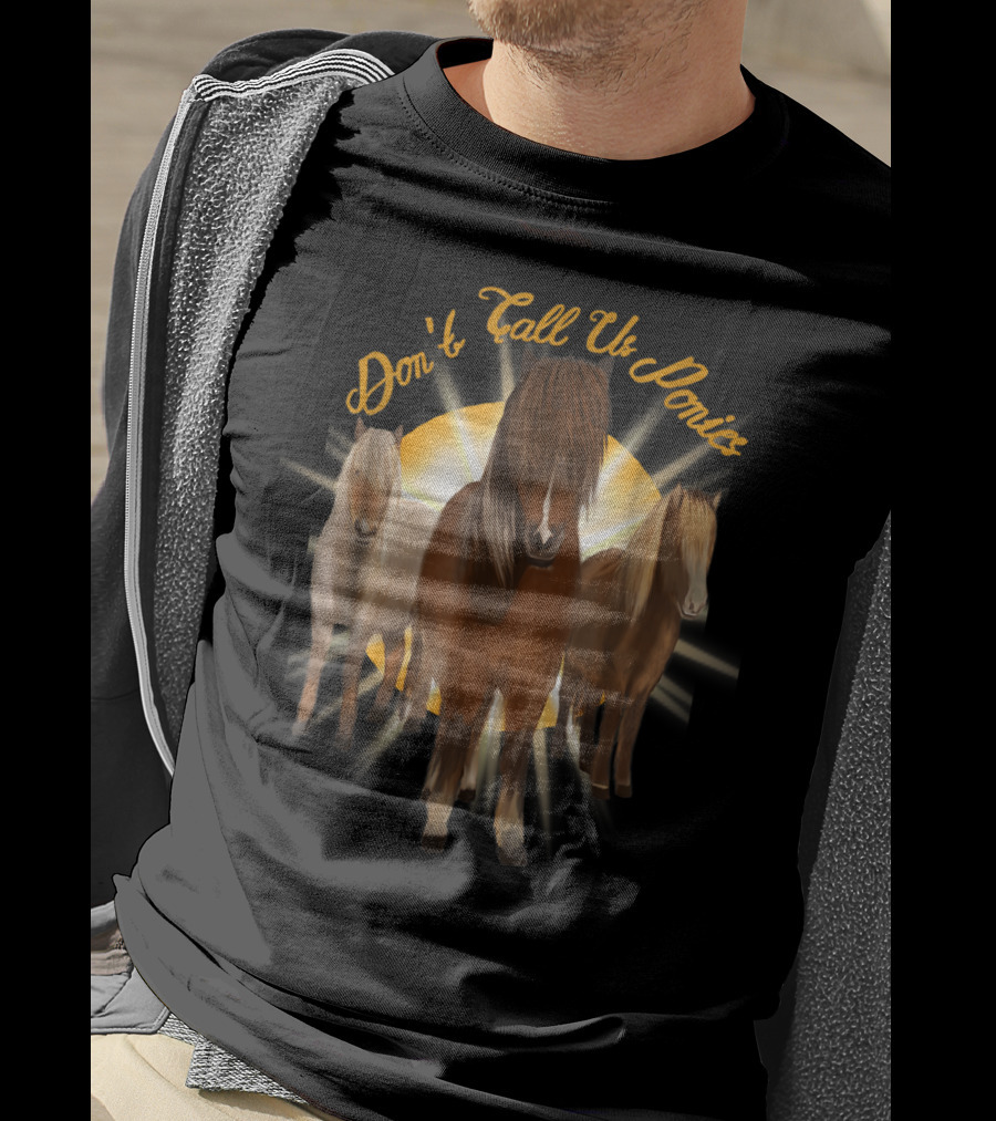 Don't Call Us Ponies Funny Cute Miniature Horse Trio Sunburst T-Shirt