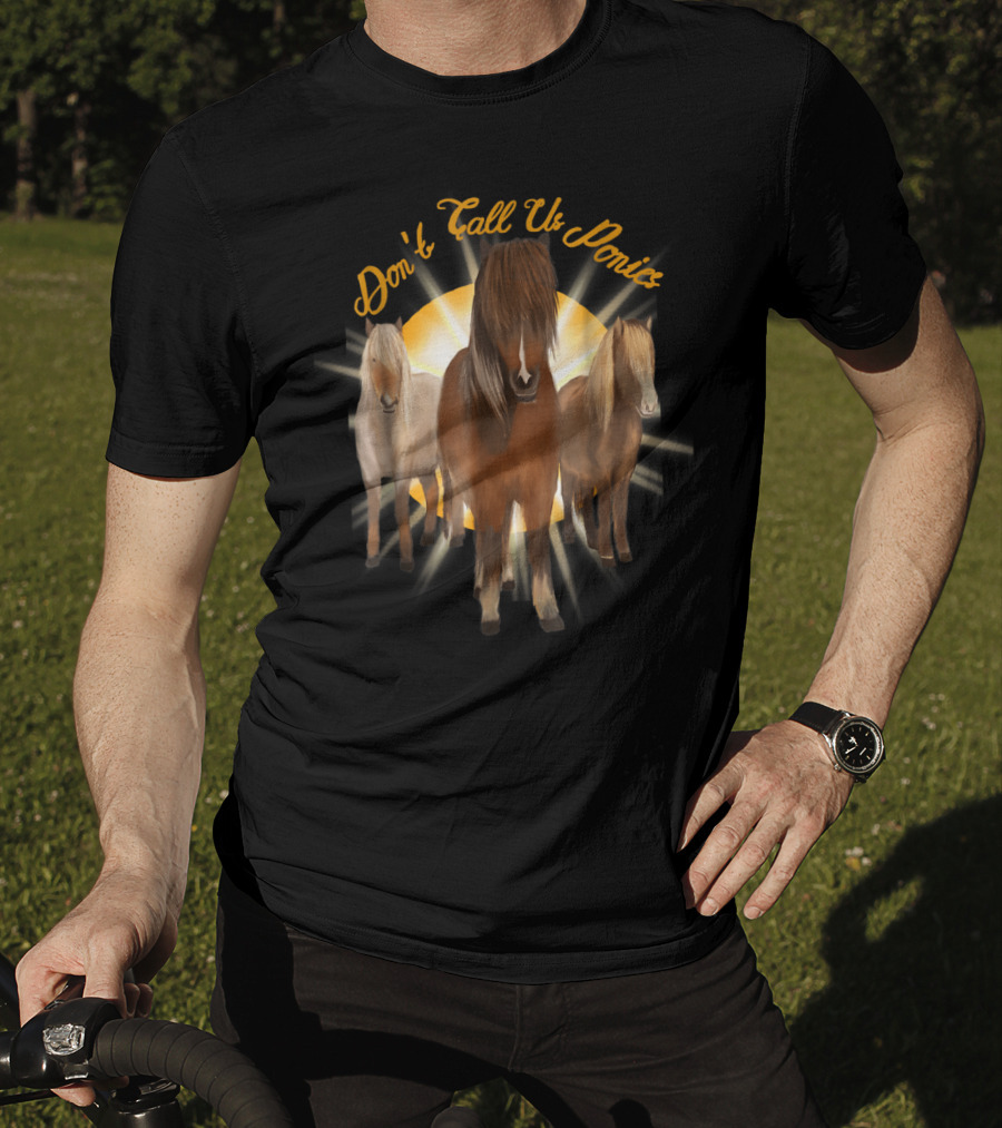 Don't Call Us Ponies Funny Cute Miniature Horse Trio Sunburst T-Shirt