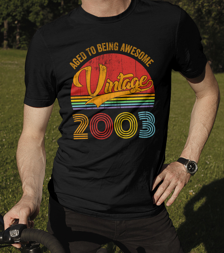 Aged To Being Awesome Vintage 2003 Rainbow T-Shirt