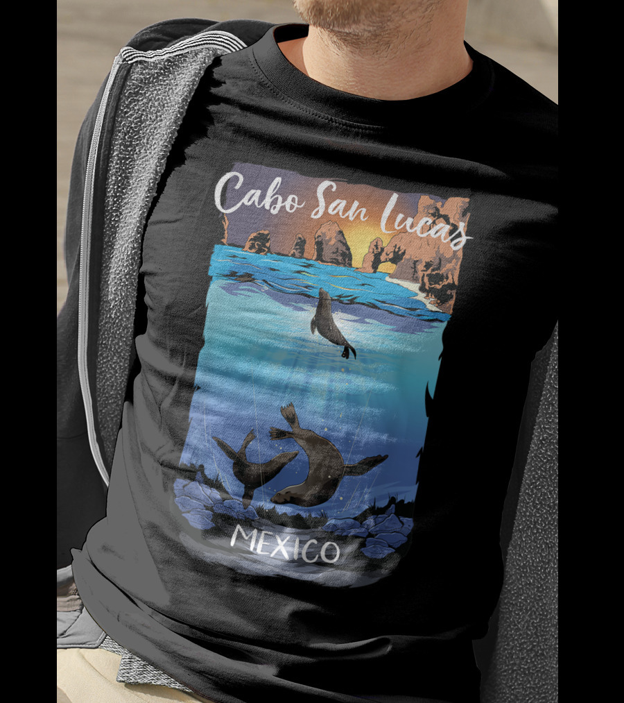Cabo San Lucas Mexico Seals Ocean Rocks T-Shirt