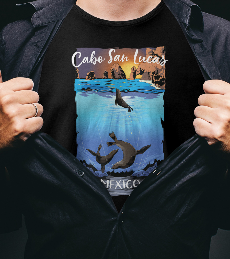 Cabo San Lucas Mexico Seals Ocean Rocks T-Shirt