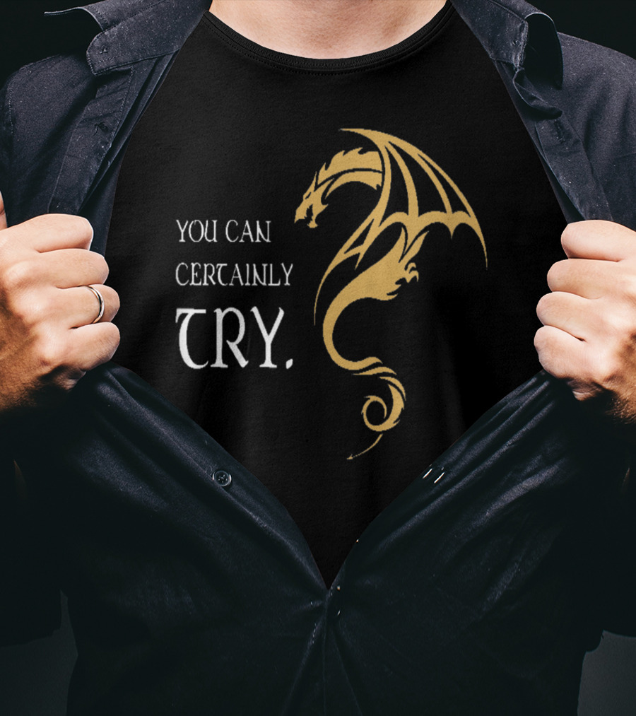 You Can Certainly Try Dragon Fire Dungeons Fantasy T-Shirt
