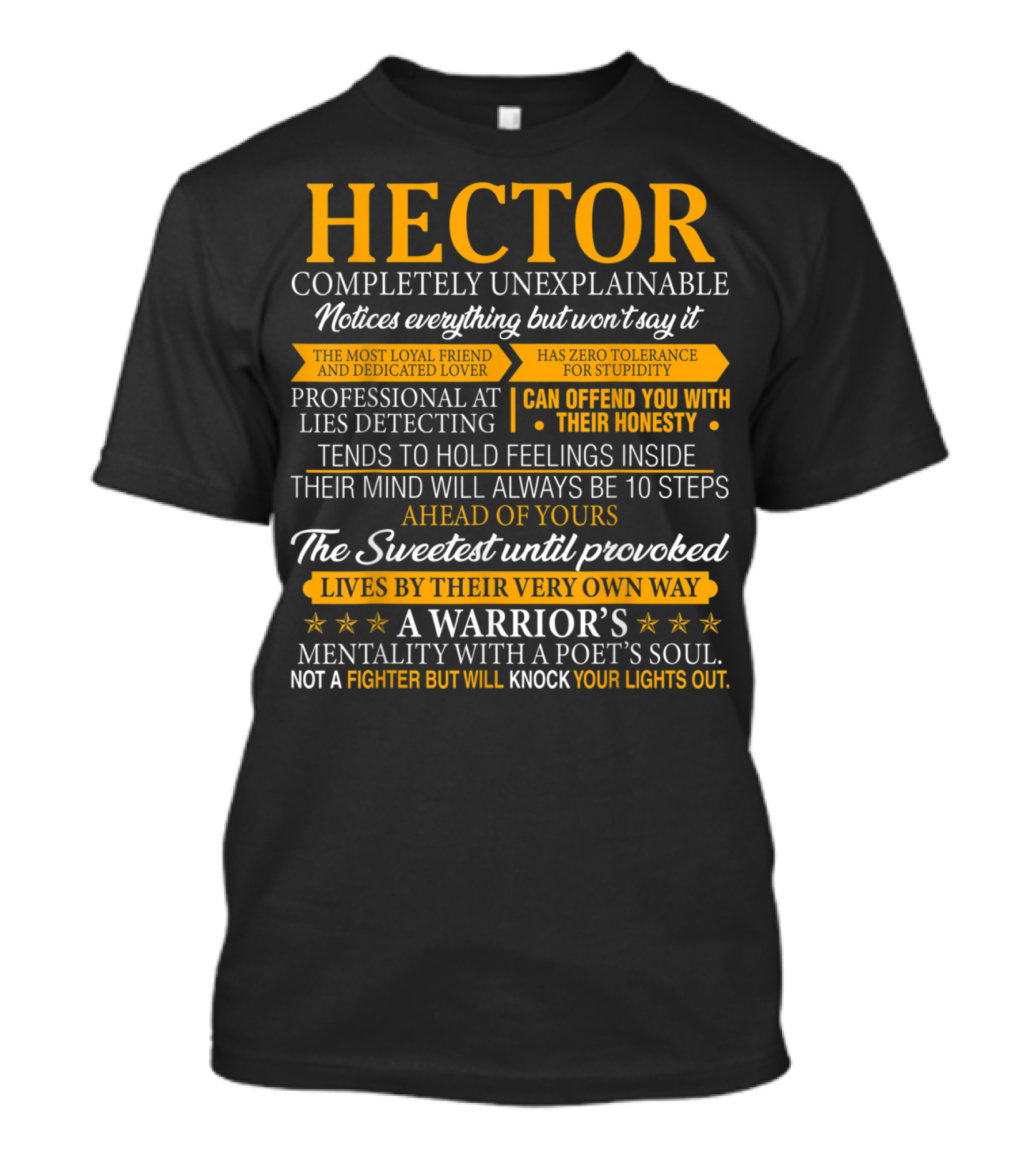 HECTOR Completely Unexplainable Notices Everything Professional Lies Detecting Warrior's Mentality Poet's Soul T-Shirt