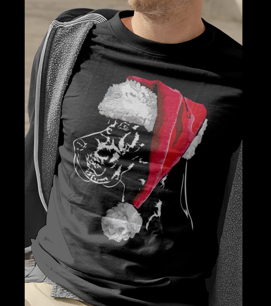 Great Dane Santa Hat Christmas Dog Humor T-Shirt