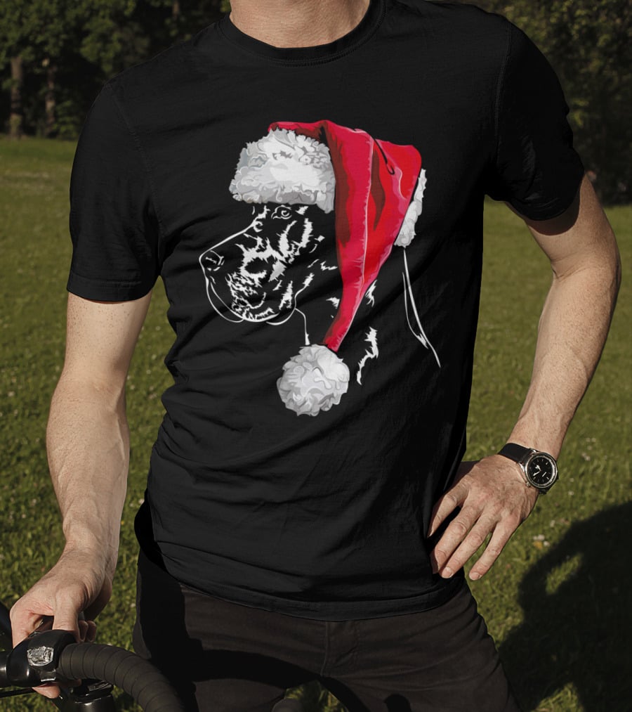 Great Dane Santa Hat Christmas Dog Humor T-Shirt