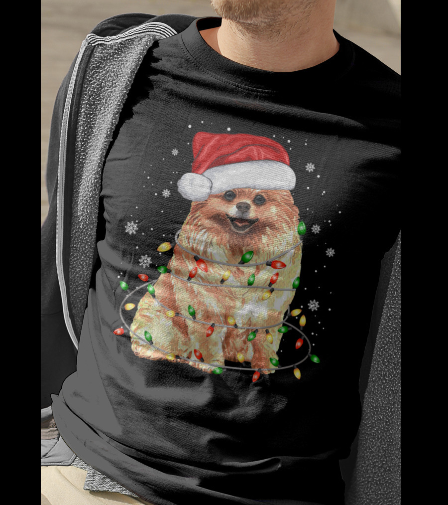 Pomeranian In Santa Hat With Christmas Lights And Snowflakes T-Shirt