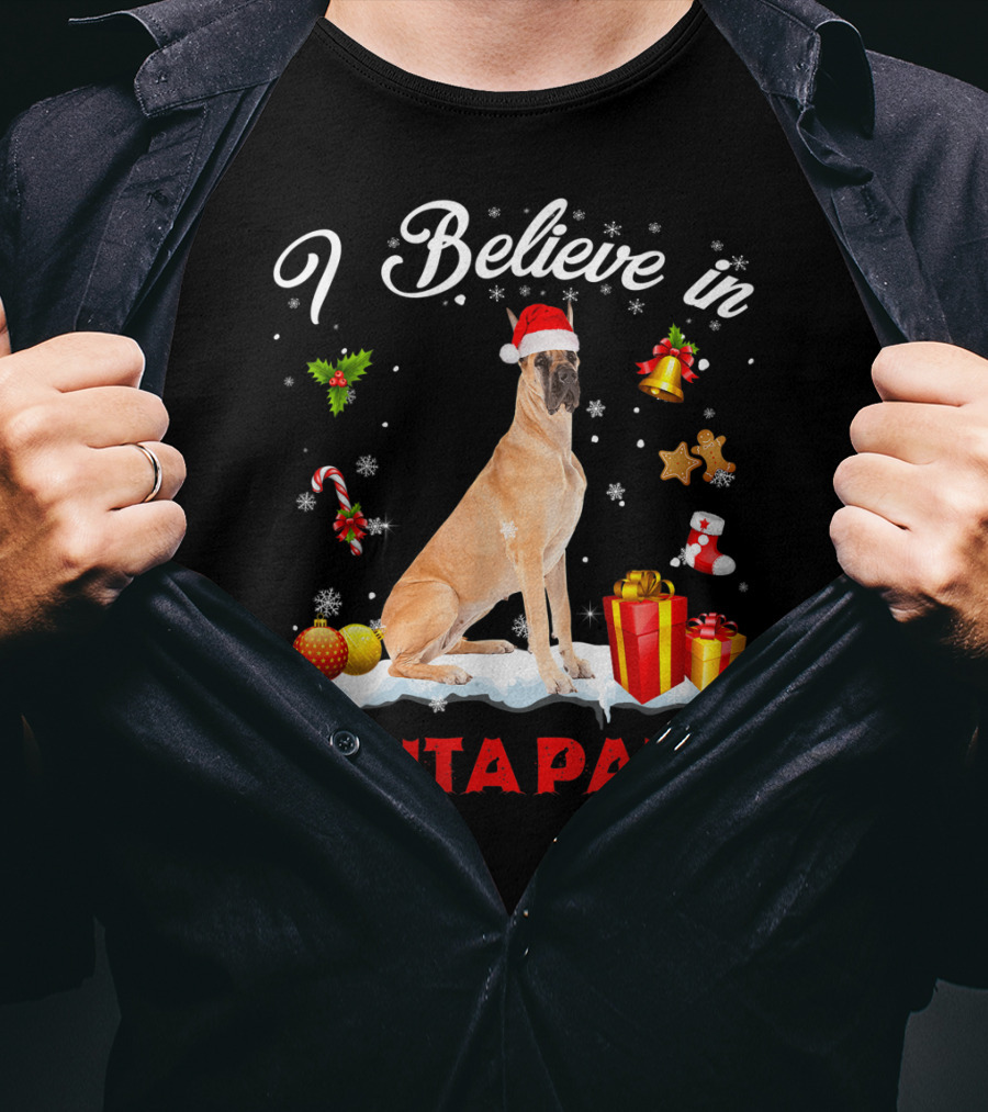 I Believe In Santa Paws Great Dane Christmas Decor T-Shirt