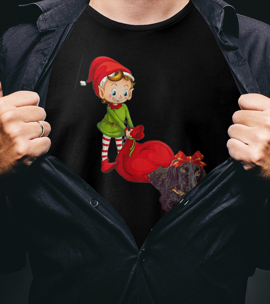 Kids Elf With Red Gift Sack And Black Dog In Santa Hat T-Shirt