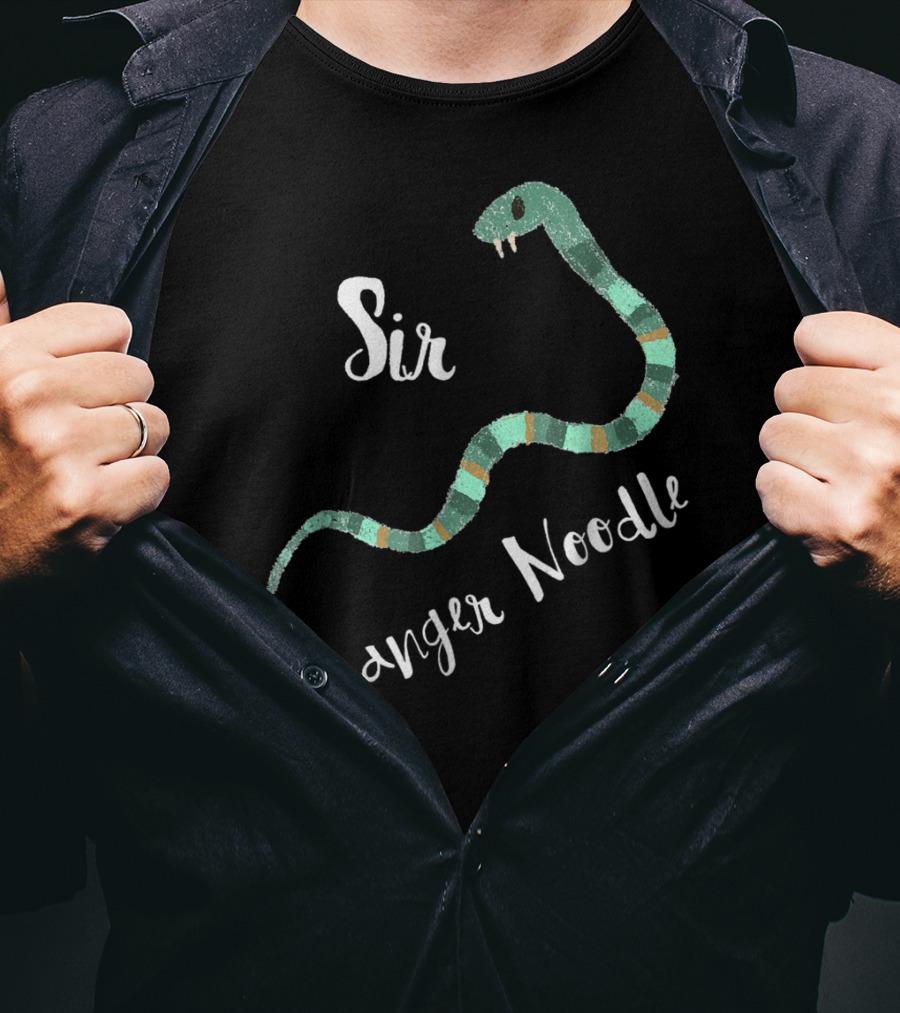 Sir Danger Noodle Snake Decor With Green Stripes T-Shirt