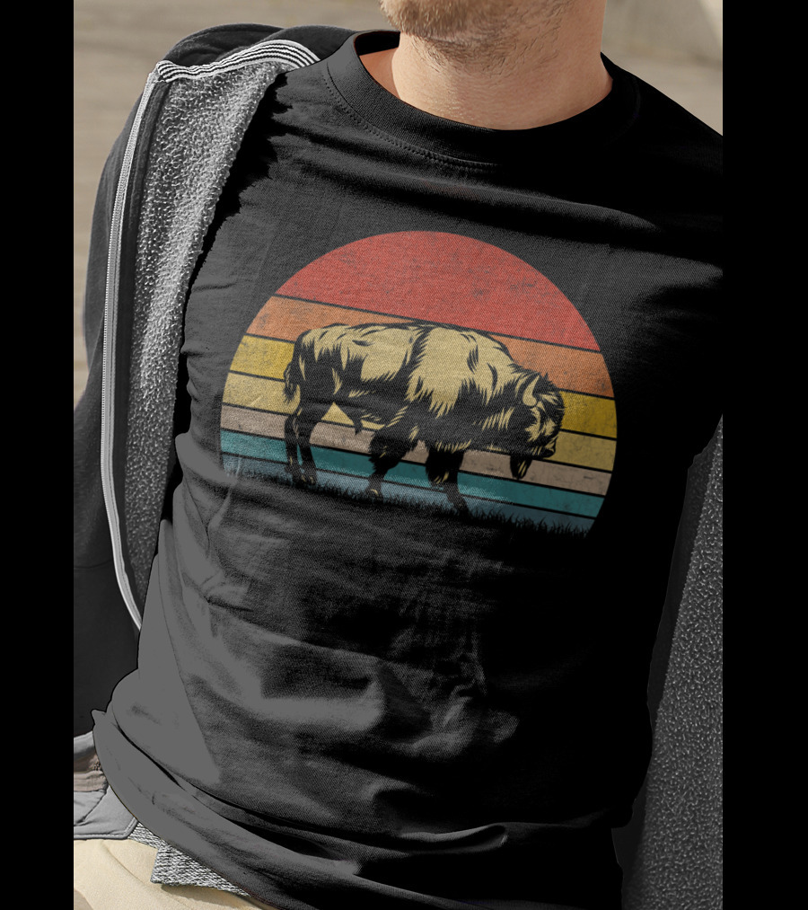 Buffalo Bison Sunset Vintage 70s Natur Retro Stripes T-Shirt