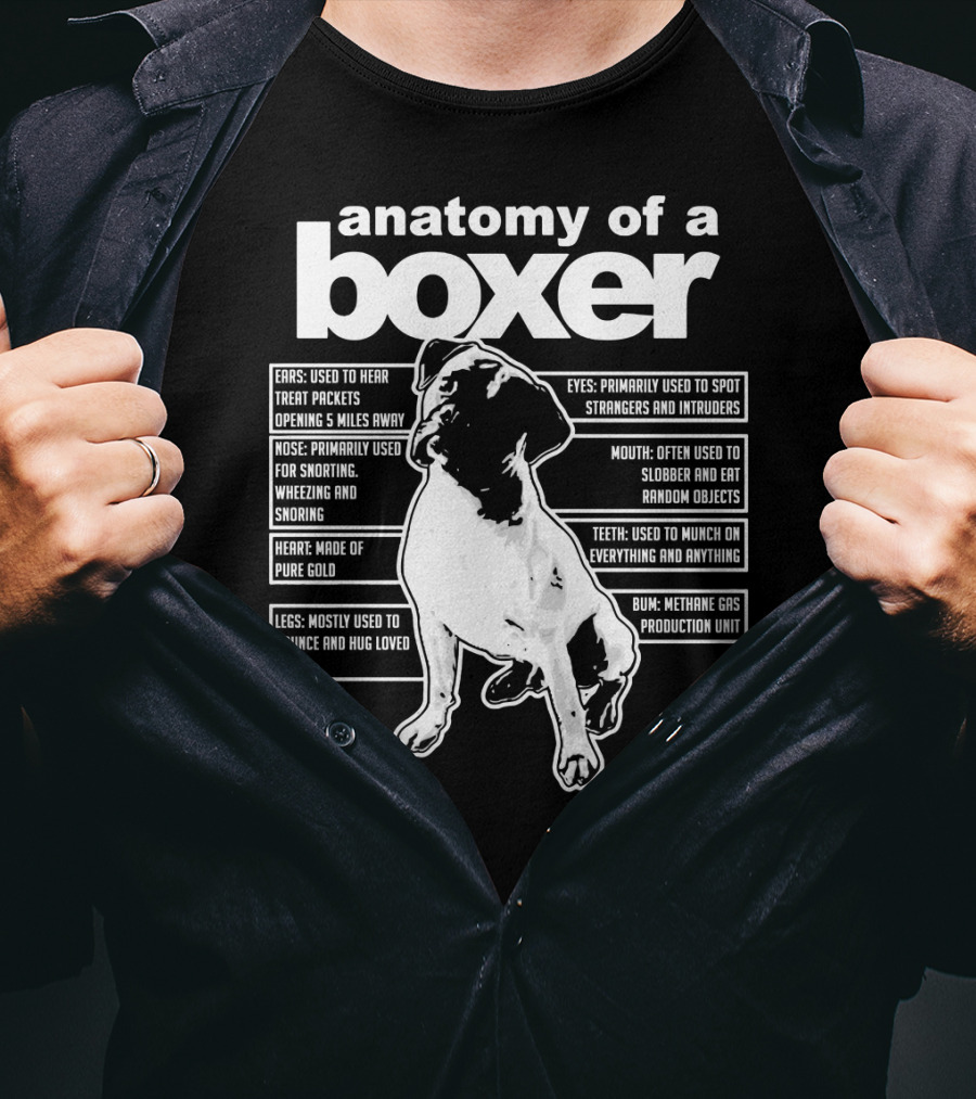 Anatomy Of A Boxer Funny Boxer With Ears Eyes Nose Mouth Heart Legs Teeth Bun T-Shirt