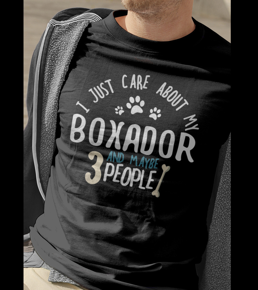 I Just Care About My Boxador And Maybe 3 People T-Shirt