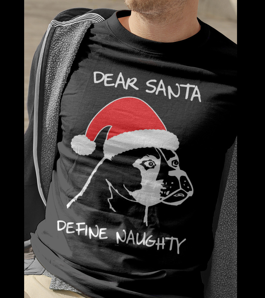 Dear Santa Define Naughty Boxer Funny Ugly Xmas Dog Lovers T-Shirt
