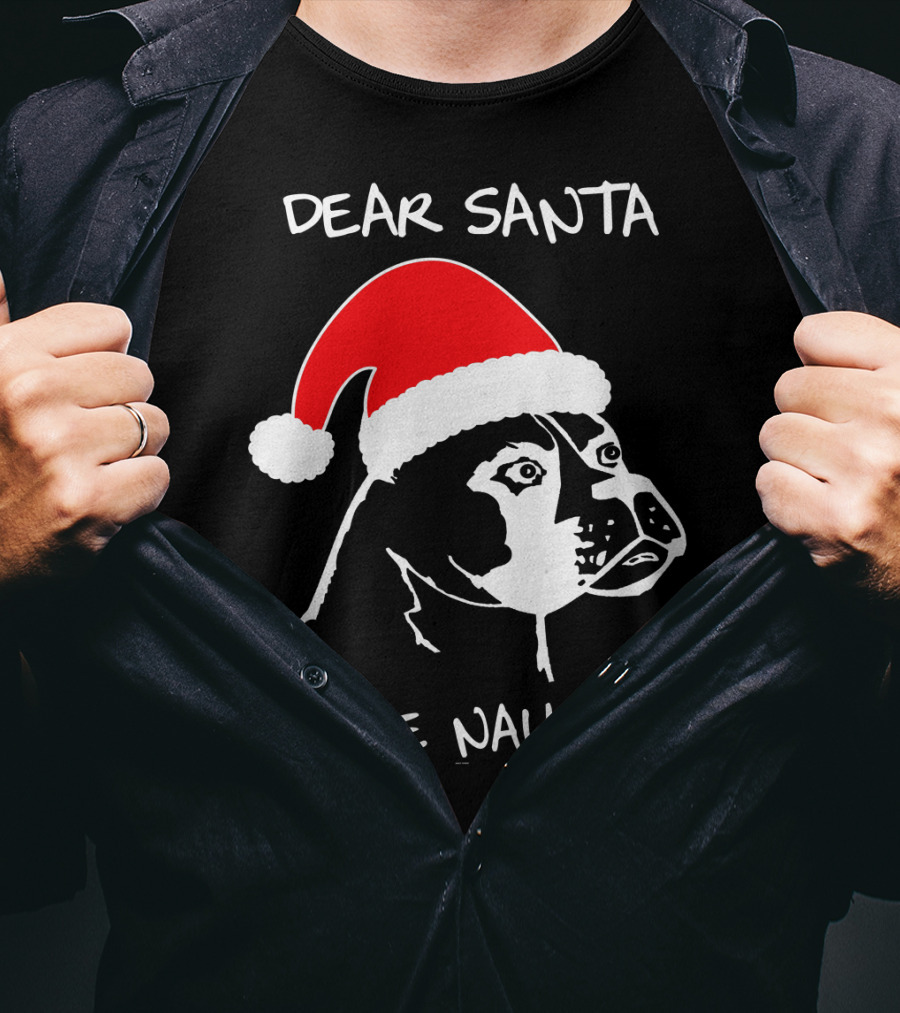 Dear Santa Define Naughty Boxer Funny Ugly Xmas Dog Lovers T-Shirt