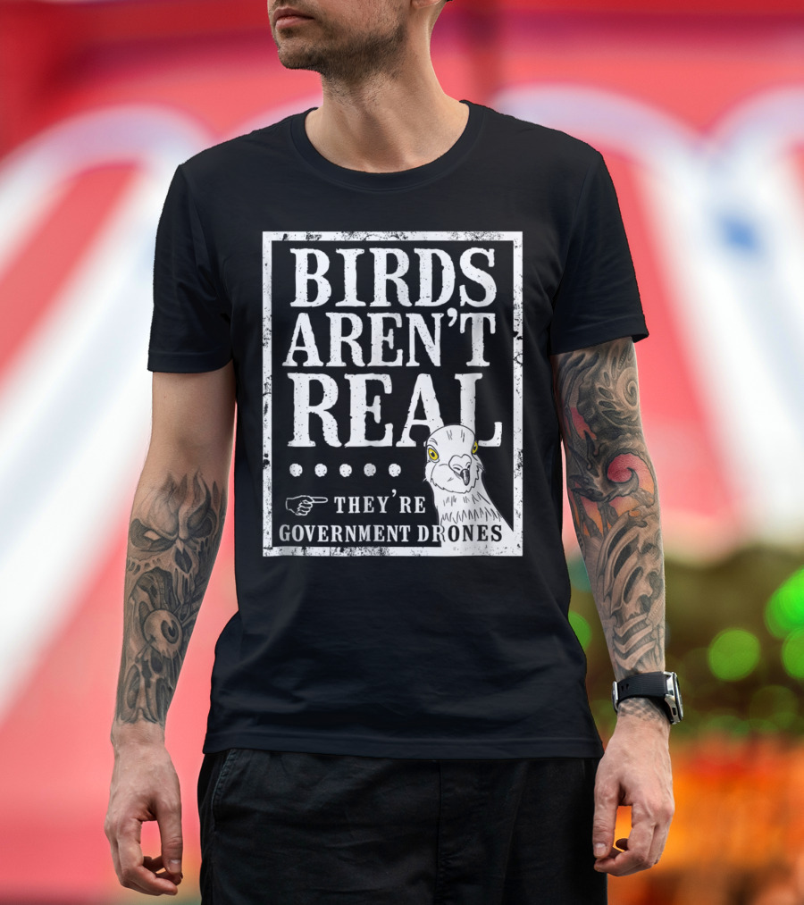BIRDS AREN'T REAL THEY'RE GOVERNMENT DRONES MEME T-Shirt